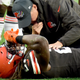 NFL Study Finds Concussion Symptoms Completely Disappear If You’ve Had An Even Number Of Concussions